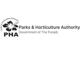 PHA | Punjab Financial Advisory Services (PFAS)