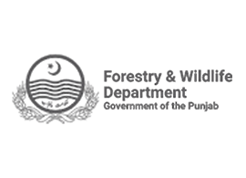 Forestry & Wildlife | Punjab Financial Advisory Services (PFAS)