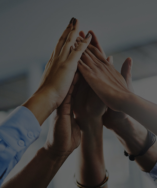 Talent & Organizational Excellence | Punjab Financial Advisory Services (PFAS)